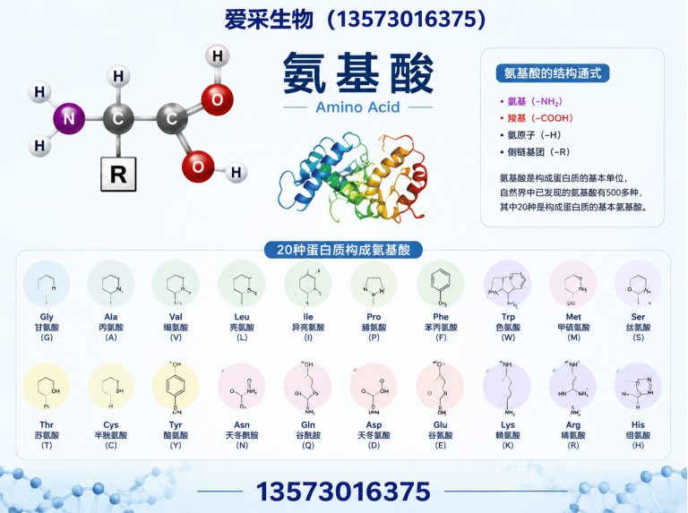 成武县氨基酸展示图